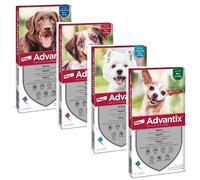 Advantix Bayer pipette per Cani da 0-4 / 4-10 / 10-25 / 25-40 / 40-60