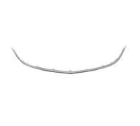 Modanatura decorativa/protettiva, griglia del radiatore BLIC 6502-07-5053992P