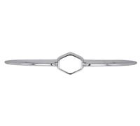 BLIC 6502-07-6824998P Griglia radiatore