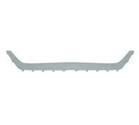 Listello decorativo anteriore 6502-07-8102920PP BLIC