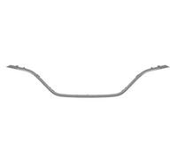 Listello decorativo anteriore cromo 6502-07-6044999P BLIC per RENAULT