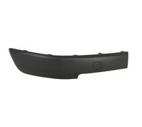 Modanatura decorativa/protettiva, paraurti BLIC 5507-00-6041922P destro