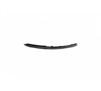 Listello decorativo anteriore Sx 88530733802 DPA per AUDI A6 C6 A6 C6 Avant