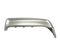 Listello decorativo Coda veicolo 5513-00-1617974P BLIC