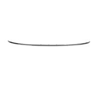Listello decorativo Coda veicolo 6502-07-0030970P BLIC