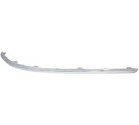 Listello decorativo Coda veicolo 6502-07-9540972P BLIC