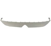 BLIC 5703-05-0554921P Modanatura decorativa / protettiva, Griglia radiatore