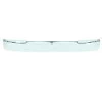Listello decorativo Frontale d. veicolo 6502-07-0925920P BLIC