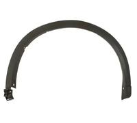 Listello decorativo porta anteriore Dx nero 5703-08-3496376P BLIC
