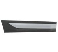 Listello decorativo porta posteriore Dx argento 5703-04-3753574P BLIC