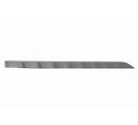 Blic Modanatura carrozzeria 5703-04-6001578P listello portiera posteriore dx cromo Renault Clio V
