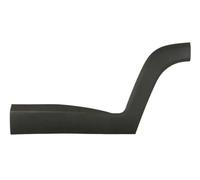 Listello decorativo porta posteriore Sx nero 5703-08-3216377P BLIC