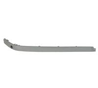 Listello decorativo posteriore Sx 5513-00-00659709P BLIC per BMW 5 5 Touring