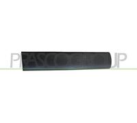 Listello Decorativo/Protettivo Porta PRASCO Per CITROËN BERLINGO