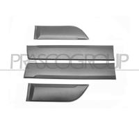 Listello Decorativo/Protettivo Porta PRASCO Per DACIA DUSTER (HM_)