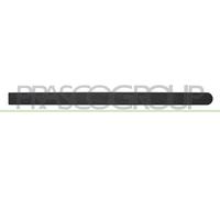Listello Decorativo/Protettivo Porta PRASCO Per OPEL CORSA C