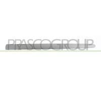 Listello Decorativo/Protettivo Porta PRASCO Per PEUGEOT 206+ (2L_)