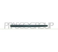 Listello Decorativo/Protettivo Porta PRASCO Per PEUGEOT 206 SW