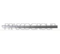 Listello Decorativo/Protettivo Porta PRASCO Per VW GOLF IV