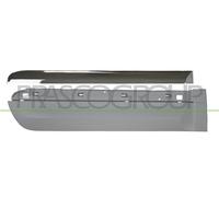 Listello protettivo porta posteriore destra Fiat-500 L-mod. 06/17 innescato con barra cromata