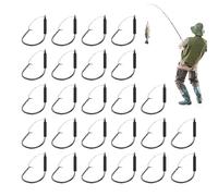 lisutupode Teste Jig senza Erbe | Forte Resistenza per Wacky - 25 Pezzi Attrezzature da in Acciaio al Carbonio per Pescatori in Acqua e Acqua Salata Fiume Stagno Lago Mare