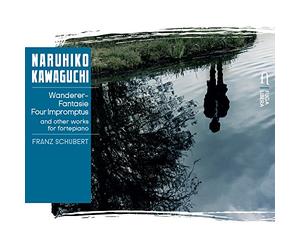 Liszt/ Kawaguchi - Wanderer Fantasie