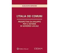 L' Italia dei comuni. Prospettive di sviluppo per il sistema di governo locale