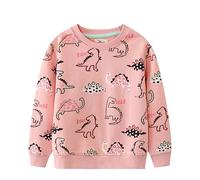 LitBud Ragazza Felpe Dinosauro Bambina Sweatshirts Pullover Maglione Maniche Lunghe Scollo Rotondo Top Maglietta per Bambini 3-4 Anni
