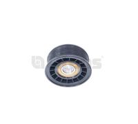 Litens 9511225 Galoppino/Guidacinghia, Cinghia Poly-V per FORD,VOLVO