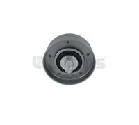 Litens 951519 Galoppino/Guidacinghia, Cinghia Poly-V per CHRYSLER,JEEP