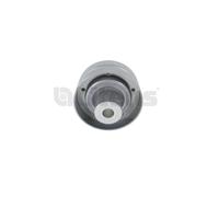 Litens 951561 Galoppino/Guidacinghia, Cinghia Poly-V per FORD,FORD AUSTRALIA,MAZ