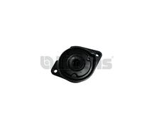 Litens 9990008 Tendicinghia, Cinghia Poly-V per BMW