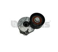 Litens 9990010 Tendicinghia, Cinghia Poly-V per BMW