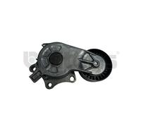 Litens 9990046 Tendicinghia, Cinghia Poly-V per CITROËN,DS,GRUAU,PEUGEOT