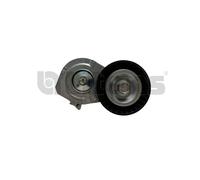 Litens 9990049 Tendicinghia, Cinghia Poly-V per CHEVROLET,OPEL,VAUXHALL