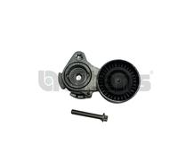 Litens 999444 Tendicinghia, Cinghia Poly-V per BMW,BMW (BRILLIANCE)