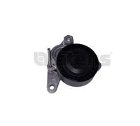Litens 999839 Tendicinghia, Cinghia Poly-V per AUDI,CUPRA,FORD,SEAT,SKODA,VW