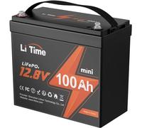 LiTime 12V 100Ah Batteria LiFePO4 MINI, Batteria Litio con BMS 100A e 4000-15000 Cicli, Di Piccole Dimensioni e Senza Manutenzione, Batteria Litio 12V Adatta per Caravan, Sistemi Solari, Barche