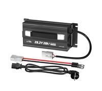 LiTime 29,2V 20A Caricabatterie al Litio, Caricabatterie da Auto Montabile con Ventola di Raffreddamento e Molteplici Protezioni di Sicurezza, Caricabatterie è Progettato per Caricare Batterie LiFePO4
