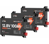 LiTime 3 Pezzi Batteria Litio 12V 100Ah SLIM con Bluetooth per Pick-up, RV | Autoriscaldamento , LiFePO4, Max 15000 Cicli, Energia 1280Wh, IP65, Max 4P4S, per Furgone Camperizzato, Camper