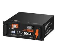 LiTime 48V 100Ah Batteria Litio LiFePO4 con BMS 100A Incorporato, Solido Involucro Metallico, 15000 Cicli, 48V Batteria LiFePO4 per Camper, Case Solari, Impianti Off-grid