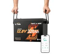 LiTime Batteria LiFePO4 12V 320Ah con Bluetooth per Camper, Lunga Durata | Max 15000 Cicli, 4096Wh, Sostituzione AGM, Leggera e Compatta, Batteria Litio 12V per Furgone, Caravan, Barca da Pesca, Yacht