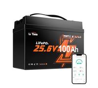 LiTime Batteria LiFePO4 24V 100Ah Mini Compatta con Bluetooth per Camper | Max 15000 Cicli, 2560Wh, BMS 100A, Sostituzione AGM, Leggera, Batteria Litio 24V per Accumulo Domestico, Fotovoltaico, Barche