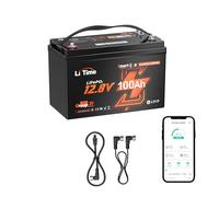 LiTime Batteria litio 12V 100Ah Bluetooth compatibile Victron comunicazione CAN/RS485, Protezione basse temperature 15000 cicli, IP65 impermeabile, Adatta Camper, Barche, Sistem,Off-Grid