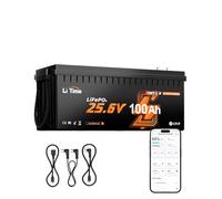 LiTime Batteria Litio 24V 100Ah LiFePO4 con Bluetooth supporta Victron, CAN/RS485, 2560Wh, 4000-15000 Cicli, Dotato di protezione da basse Temperature, Ideale per Camper di Media e Grande Dimensione