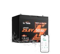 LiTime Batteria Litio 24V 50Ah LiFePO4 con Bluetooth per Barche, Nautica