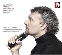 Littera Gianluca - Concerto per armonica e orchestra