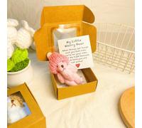 Little Bear in Box, Handmade Mini Plush Teddy Bear in Box, Handmade Mini Plush with Inspirational Card and, Emotional Uplifting Support Pocket Hug Animal Positive Gifts (Pink)