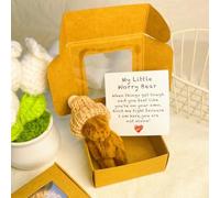 Little Bear in Box, Mini Orsetto Peluche con Cappello in Scatola, Regalo di Conforto Fatto a Mano con Biglietto, per Amico, Incoraggiamento, Tristezza o Momento Speciale(Coffee)