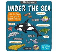 Little Bee Books Little Explorers: Under the Sea (Copertina rigida)